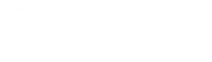 Logo White
